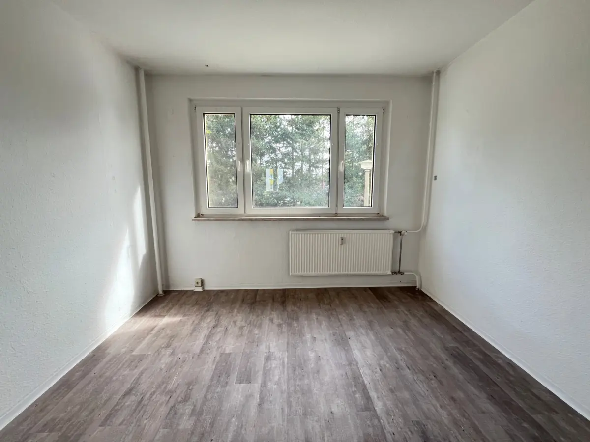 Zimmer