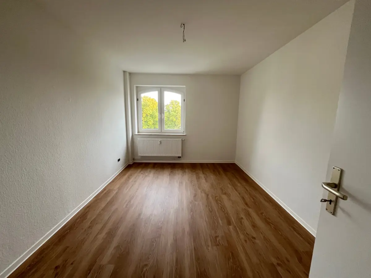 Zimmer