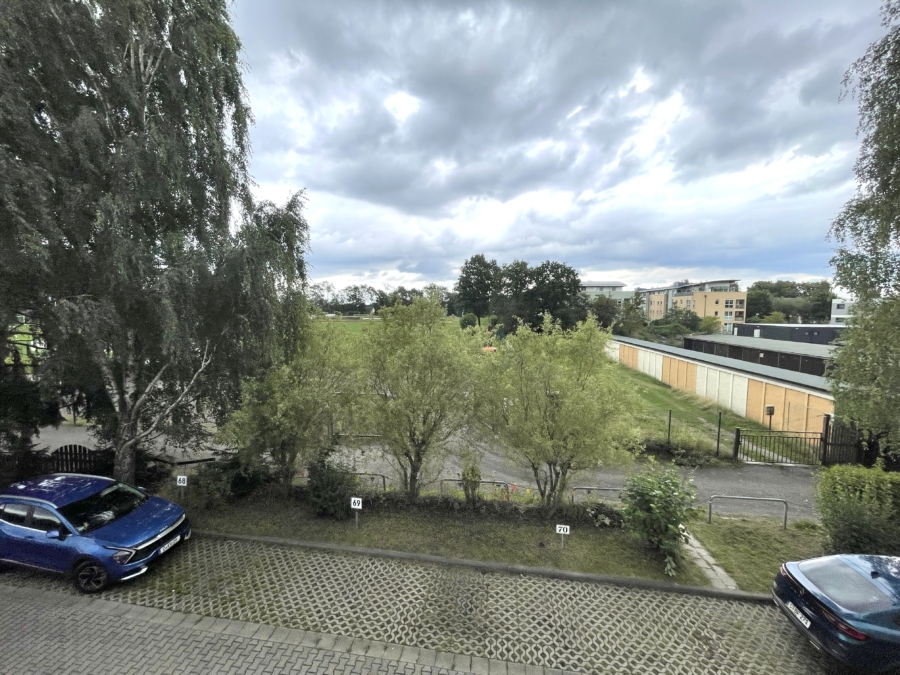 Blick ins Grüne