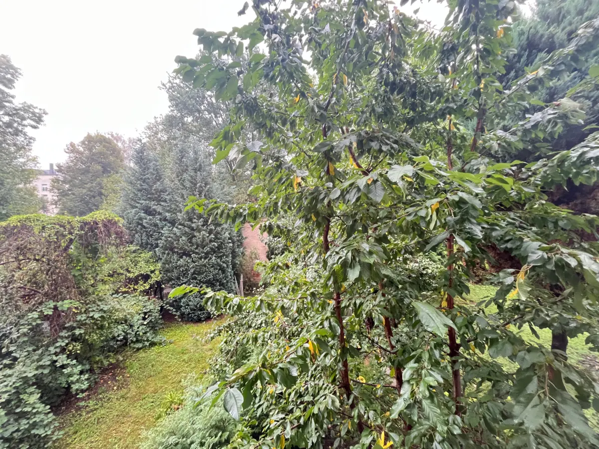 Blick vom Balkon