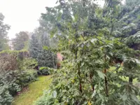 Blick vom Balkon