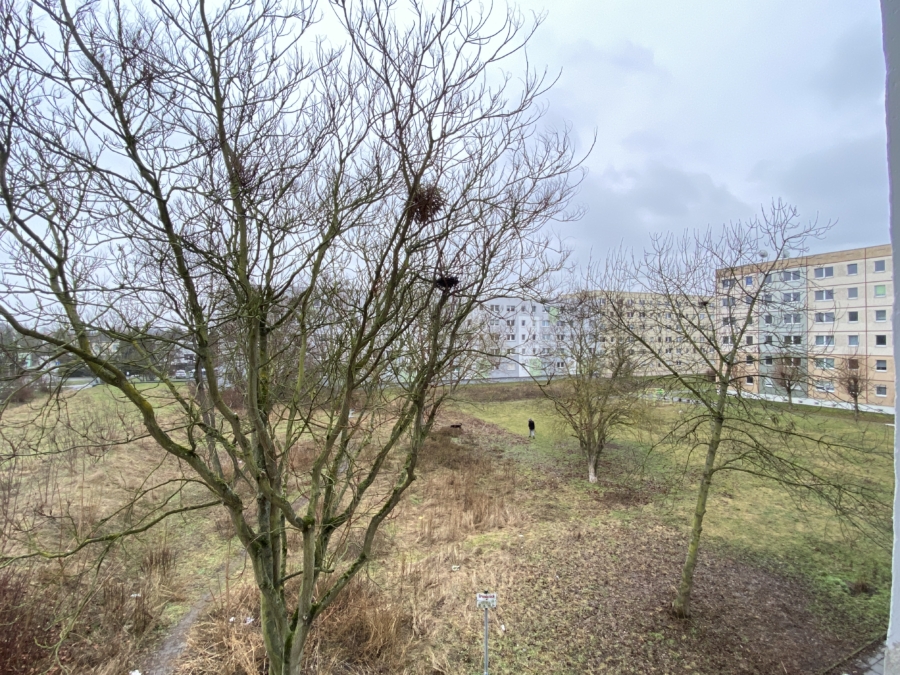 Ihr Ausblick
